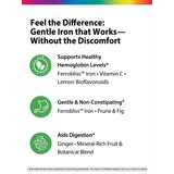 Complete Iron Mini-Tablets + Real Food Nutrients, 60 Vegan Mini-Tablets