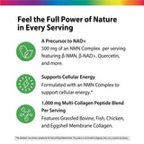 NMN Complex, 60 Capsules