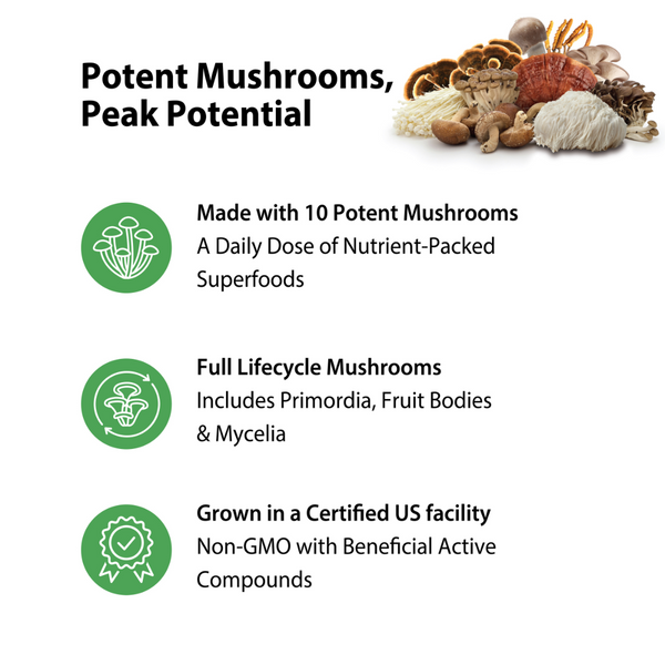 Complesso di 10 Funghi Potenti, 60 Capsule Vegane