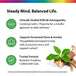 Product highlights graphic stating KSM-66 Ashwagandha, L-Theanine for wellness, supports stress and anxiety, helps with cortisol.