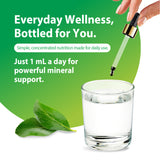 Product highlights graphic stating Everyday Wellness, Bottled for You. Simple daily nutrition. 1 mL a day for powerful mineral support.