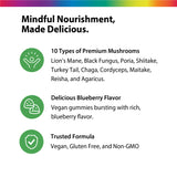 Product highlights graphic stating 10 Premium Mushrooms, Delicious Blueberry Flavor vegan gummies, Trusted: Vegan, Gluten-Free, Non-GMO.