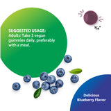 Product highlights graphic stating Suggested Usage: Adults: 3 vegan gummies daily with a meal, gummy size: 3/4', blueberry flavor.