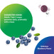 Product highlights graphic stating Suggested Usage: Adults: 3 vegan gummies daily with a meal, gummy size: 3/4', blueberry flavor.