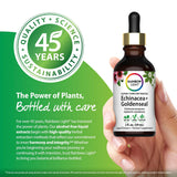 Rainbow Light Echinacea+ Goldenseal Liquid Extract, 2 fl oz. Non-GMO, vegan, and gluten-free dietary supplement.