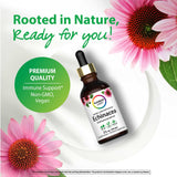 Rainbow Light Echinacea Liquid Extract, 2 fl. oz. (59 mL). Non-GMO, vegan, and gluten-free formula.