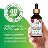 Valerian Root Liquid Herbal Extract Alcohol Free, 2 fl oz (59 mL) Liquid