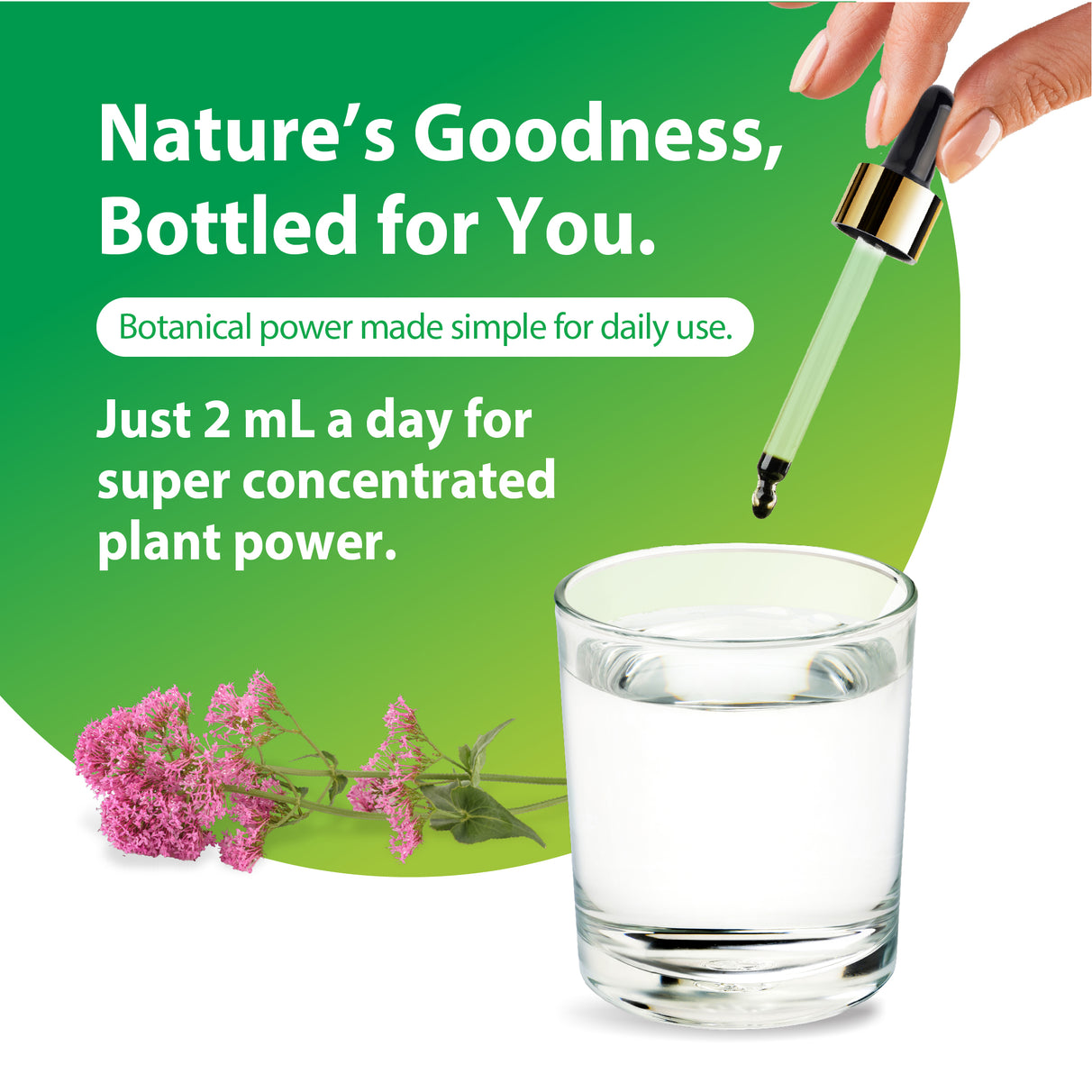 RL Valerian Root Extract 2 fl oz. Dropper adding liquid to water. Text: 'Just 2 mL a day for super concentrated plant power.'