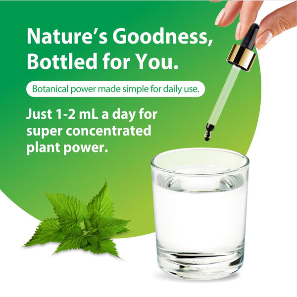 Nettle Leaf Liquid Extract Alcohol Free, 2 fl oz (59 mL) Liquid