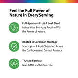 Graviola (Soursop), 2000 mg (per serving), 60 Capsules