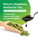 RL Pumpkin Seed Oil Organic 16 oz. Cold-pressed oil on a spoon, green pumpkin seeds in a scoop nearby.