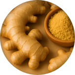 Digestive Comfort