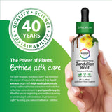 Dandelion Root Super Concentrated Alcohol Free, 2 fl oz (59 mL) Dropper Bottle