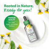 Dandelion Root Super Concentrated Alcohol Free, 2 fl oz (59 mL) Dropper Bottle